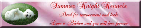 bichon frise breeder | bichon breeder | bichon puppies | bichon frise puppies | summer knight kennels